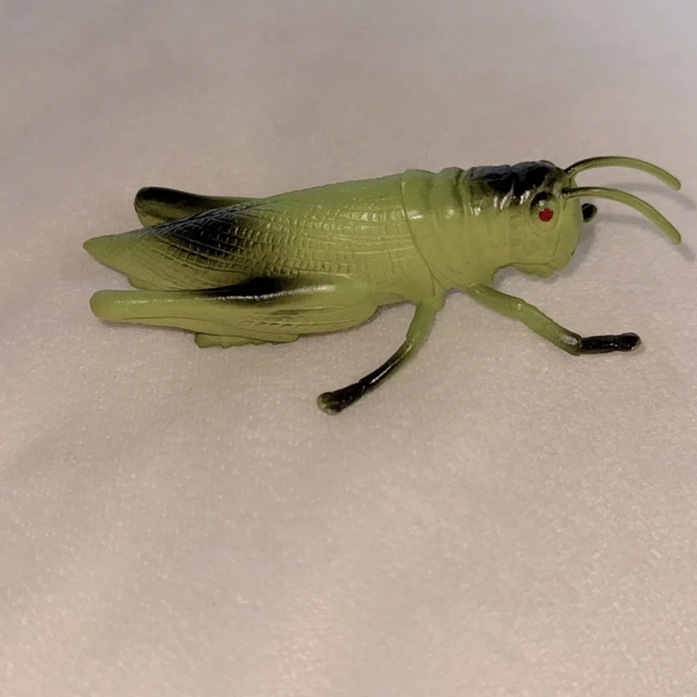 Green Grasshopper Bug Science Play Toy Cricket Kids Children’s Science Figurine